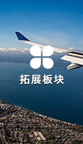 泰安三英新材料股份有限公司